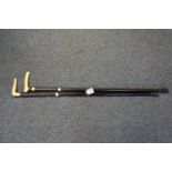 Two 19th century ebony walking canes, one with a carved ivory dogs head handle, the other with a
