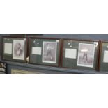 Group of six framed boxing prints with text and portraits to include John Morrissey, Mike Daley,