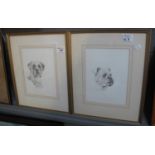Ken Brown MBE, 'Bull Mastiff' and 'Boxer', signed, a pair of pencil sketches. 24 x 18 cm approx.
