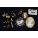 Collection of costume jewellery, cameos, etc. (B.P. 21% + VAT)