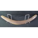 INDIGENOUS AUSTRALIAN ABORIGINAL HARDWOOD BOOMERANG with chip carved decoration, possibly Mulga