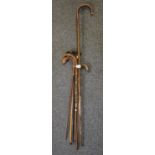 Shepherd's crook and an assortment of various walking sticks. (B.P. 21% + VAT)