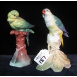 Two continental porcelain studies, one of a green parrot and another similar parrot on