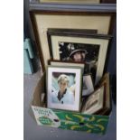 Group of assorted furnishing pictures including photographic portrait of Princess Diana, large