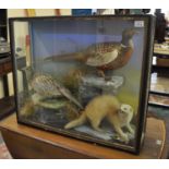 Taxidermy - cased specimen brace of pheasants on rockwork amongst foliage with snarling mink and its