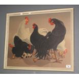 After Taya, large study of chickens with kittens, coloured print, 54 x 65cm approx. Framed. (B.P.