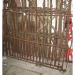 Two country made wrought iron field gates with kick up ends and diagonal braces, approx 3M and 2.