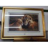 Gilt Framed Print - Pride Of Africa - Lion & Lioness - Signed By Michael Jackson - No 32/95