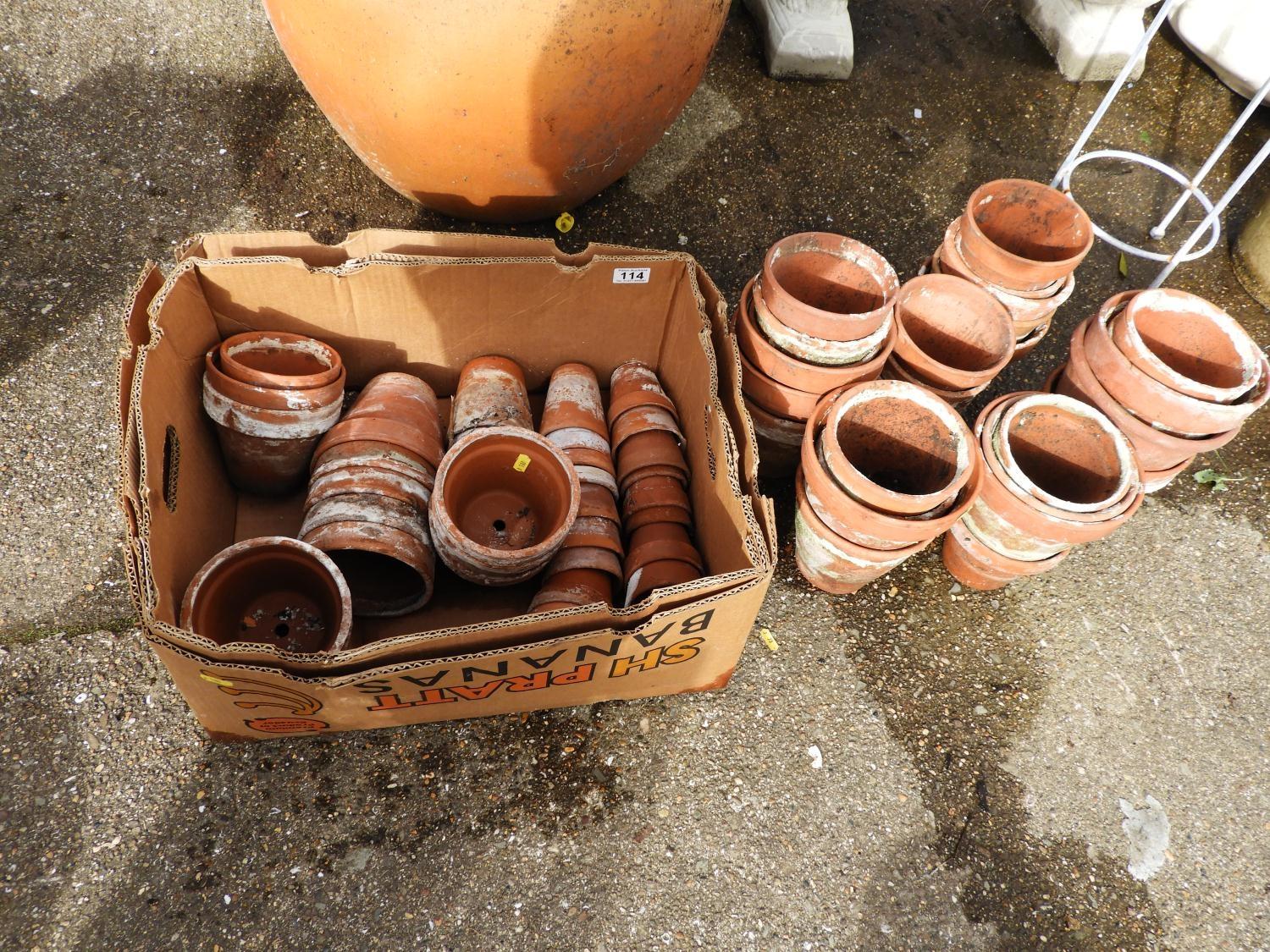 Quantity of Terracotta Plant Pots