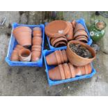 Terracotta Pots