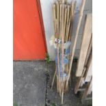 Quantity of Bamboo Growing Canes