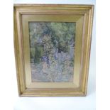 Gilt Framed and Glazed Watercolour - Flowers - Signed Francis E Nesbitt - Visible Picture 24cm x