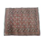 Hand Knotted Rug - Red Ground - 109cm x 132cm