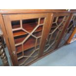 Astragal Glazed Three Door Bookcase