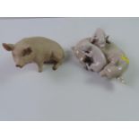 Lladro and Aynsley Pig Ornaments