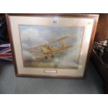 Framed Tiger Moth Print