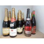 Bottles of Champagne and Sparkling Wine