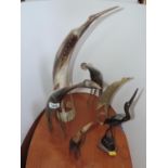 Horn Ornaments