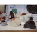 Cuddly Toys