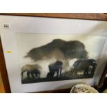 Framed Print - Elephants