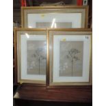 2x New Picture Frames