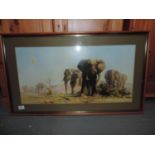 Framed David Shepherd Print