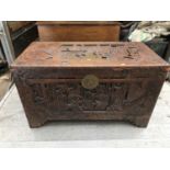 Chinese Camphor Wood Trunk