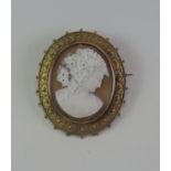 Cameo Brooch 9ct Gold Mount - 13.9gms Total Weight - 5.5cm x 4.5cm