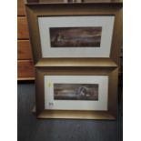 2x Framed Animal Prints