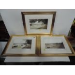 Series of Framed Local Photo Prints