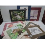 Mounted Prints