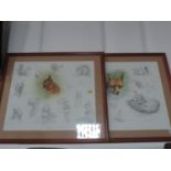 2x Framed Prints - Fox and Red Squirrel