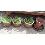 3x Matching Terracotta Planters and other