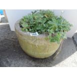 Circular Concrete Garden Planter