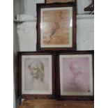 3x Portrait Prints in Decorative Frames