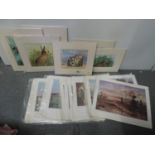 Mounted Prints