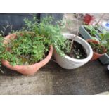 3x Plastic Garden Planters