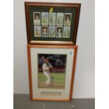 Framed Cigarette Cards and Cricketing Photograph