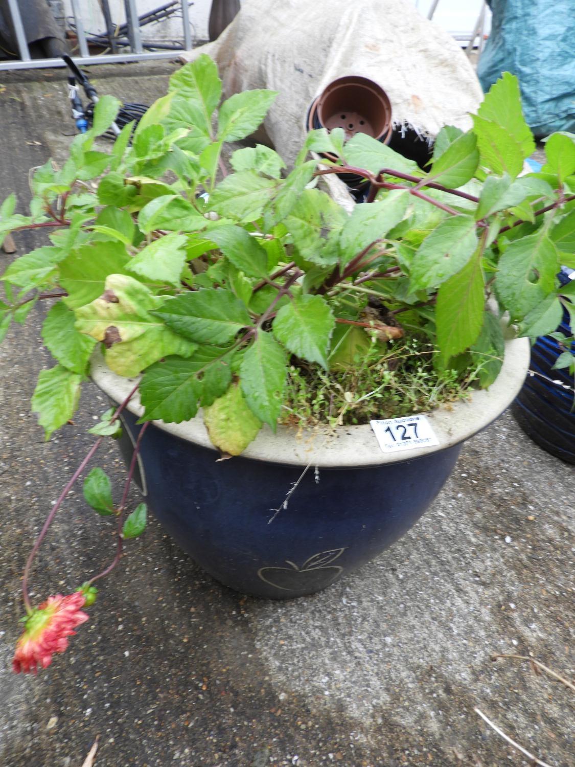 Glazed Garden Planter