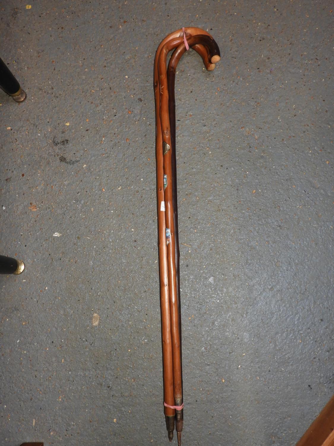 3x Walking Sticks