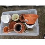 Quantity of Plant Pots