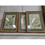 3x Framed Floral Prints