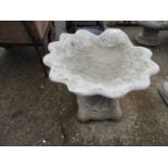 Concrete Garden Bird Bath - Shell Design