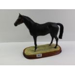 Border Fine Arts Thoroughbred Stallion