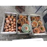 Large Quantity of Terracotta Plant Pots