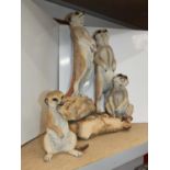 2x Meerkat Ornaments