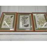 3x Framed Floral Prints
