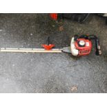 Petrol Hedge Trimmer