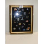 Cased Badge Collection