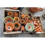 Large Quantity of Terracotta Plant Pots